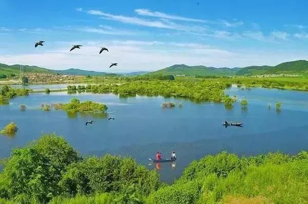 终点站绿博园北门 中牟雁鸣湖 中牟雁鸣湖景区是一块集森林,湖面,湿地