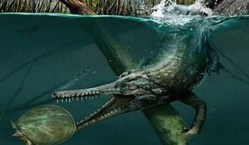鳄龙:2000万年前长相似鳄鱼的恐龙,可能是恐龙和鳄鱼祖先的后裔