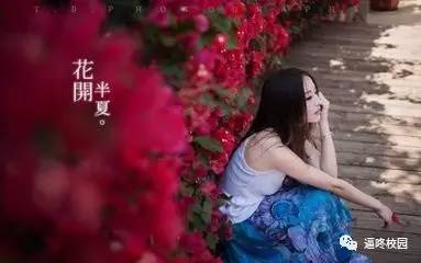 我拿着真心换来你的虚情假意