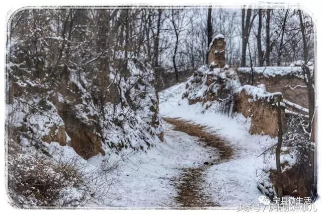 同样是下雪,宁县的乡村雪景咋就这么美!