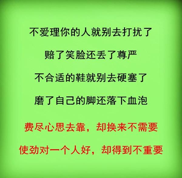 不爱理你的人就别去打扰了,赔了笑脸还丢了尊严