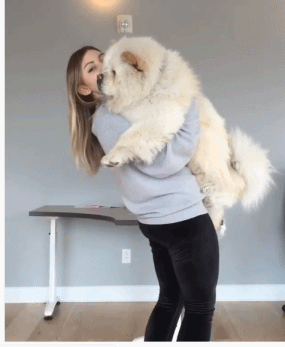 爆笑gif:一只为了米,不顾形象的鸡