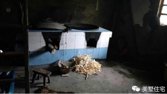 梦见自己杀死了一只老鼠,探索梦境背后的深层含义与心理解析 梦见自己杀死了一只老鼠,探索梦境背后的深层含义与心理解析