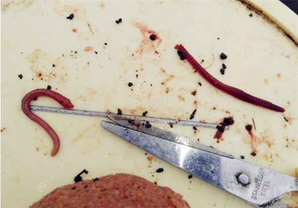 爆炸钩饵料制作视频蚯蚓钓鱼调漂技巧钓鱼技巧