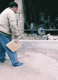 搞笑gif:想顶我的屁股,那是不可能的-北京时间