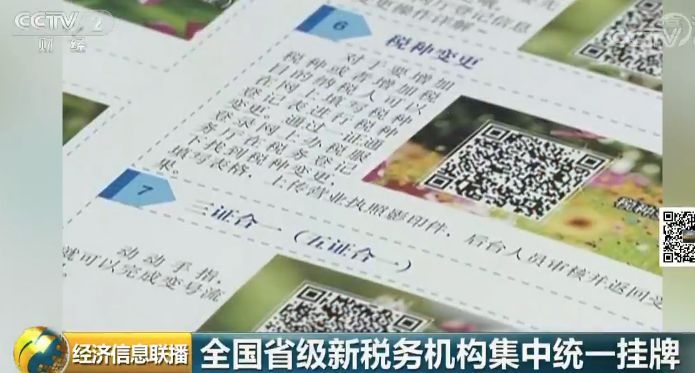 浙江省国地税合并申报后社保及企业所得税在哪