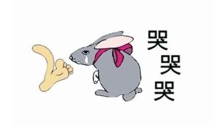 本文图片来源网络,如有侵权,请联系删除!