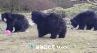 搞笑gif动图:黑管子,休想无礼!