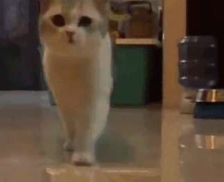 性感长腿高跟鞋美女走猫步gif gif动态图片 热图网