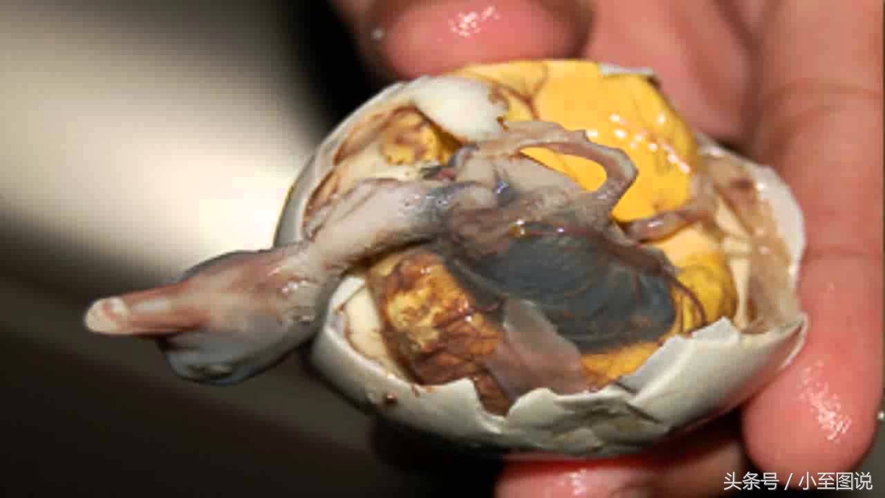 世界上最恶心的八种食物,最后一个是日本人想出来的