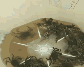 全球搞笑gif:我是一个随便的男人,喝多喝少全看对面妹子长啥样