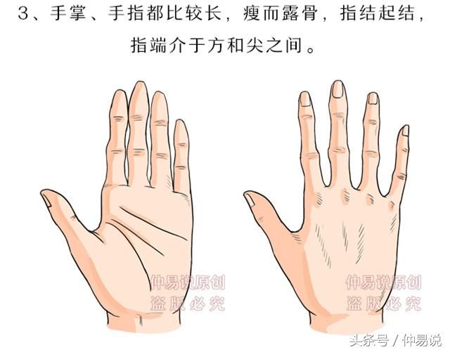 手相:你的手形是这5种中的哪种,预示了你的事业和发展