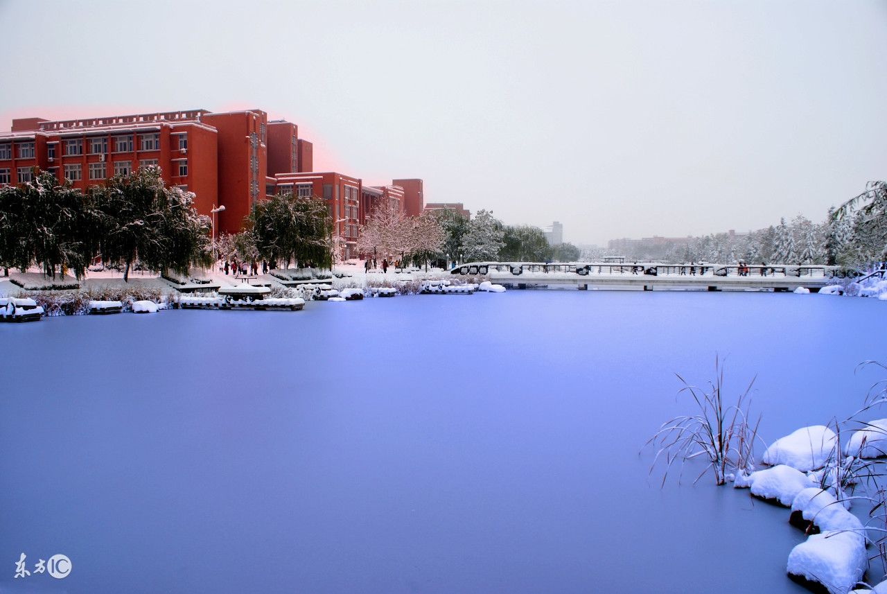 郑州(8所):郑州市是河南省重要的教育基地,含有211大学1所:郑州大学