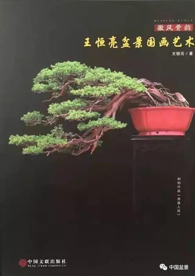 王恒亮盆景艺术公益讲堂小型盆景培训实录