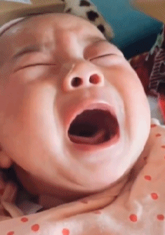 搞笑gif趣图:曾经貌美如花,如今丰满如瓜