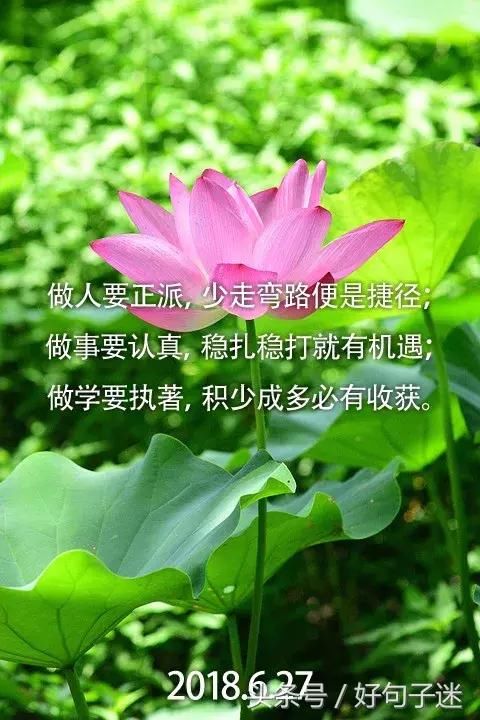 朋友圈经典早安励志心语 早安正能量图片分享