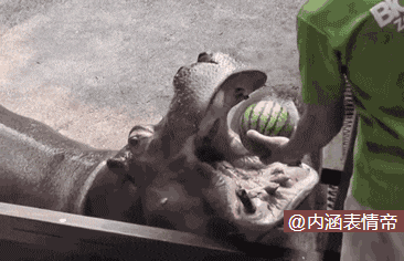 爆笑gif:你爸自从迷上跳舞,花都没心情弄了
