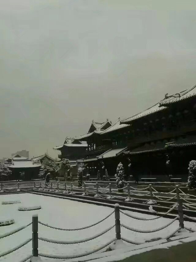 大同下雪啦!春雪喜画大同美