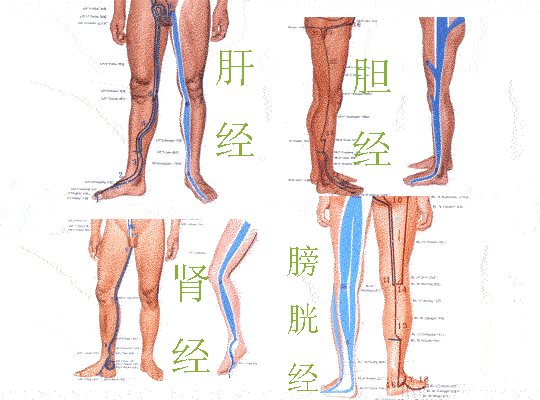 敲大腿不仅能治头痛便秘,还能瘦身,好处多到数不清