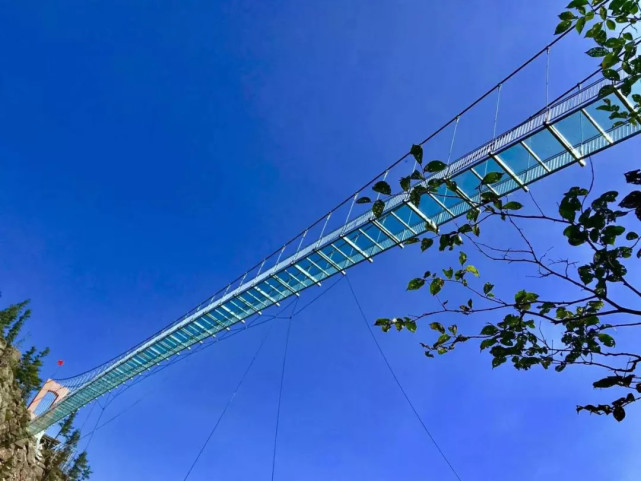 龙江首座7d全透明玻璃桥9.16开放 桥已建好,你敢来吗?