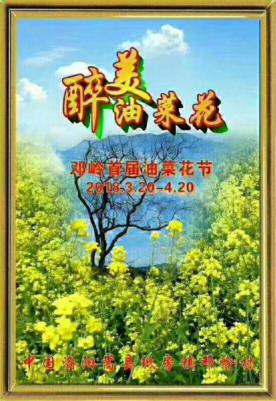 2018嵩县邓岭第一届油菜花节,自驾游路线!