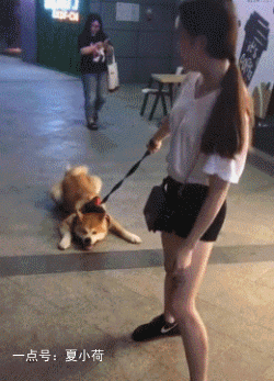 搞笑gif:这么死皮赖脸的求婚方式,我还真的第一次见!