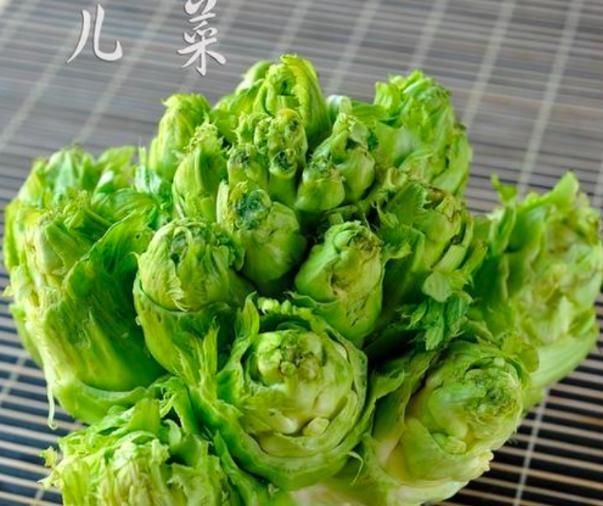 四川话中的"儿菜"指的是什么?