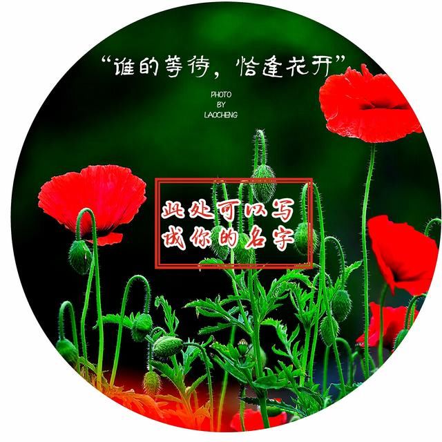 qq头像,微信头像,可写入你的名字!【免费制作】