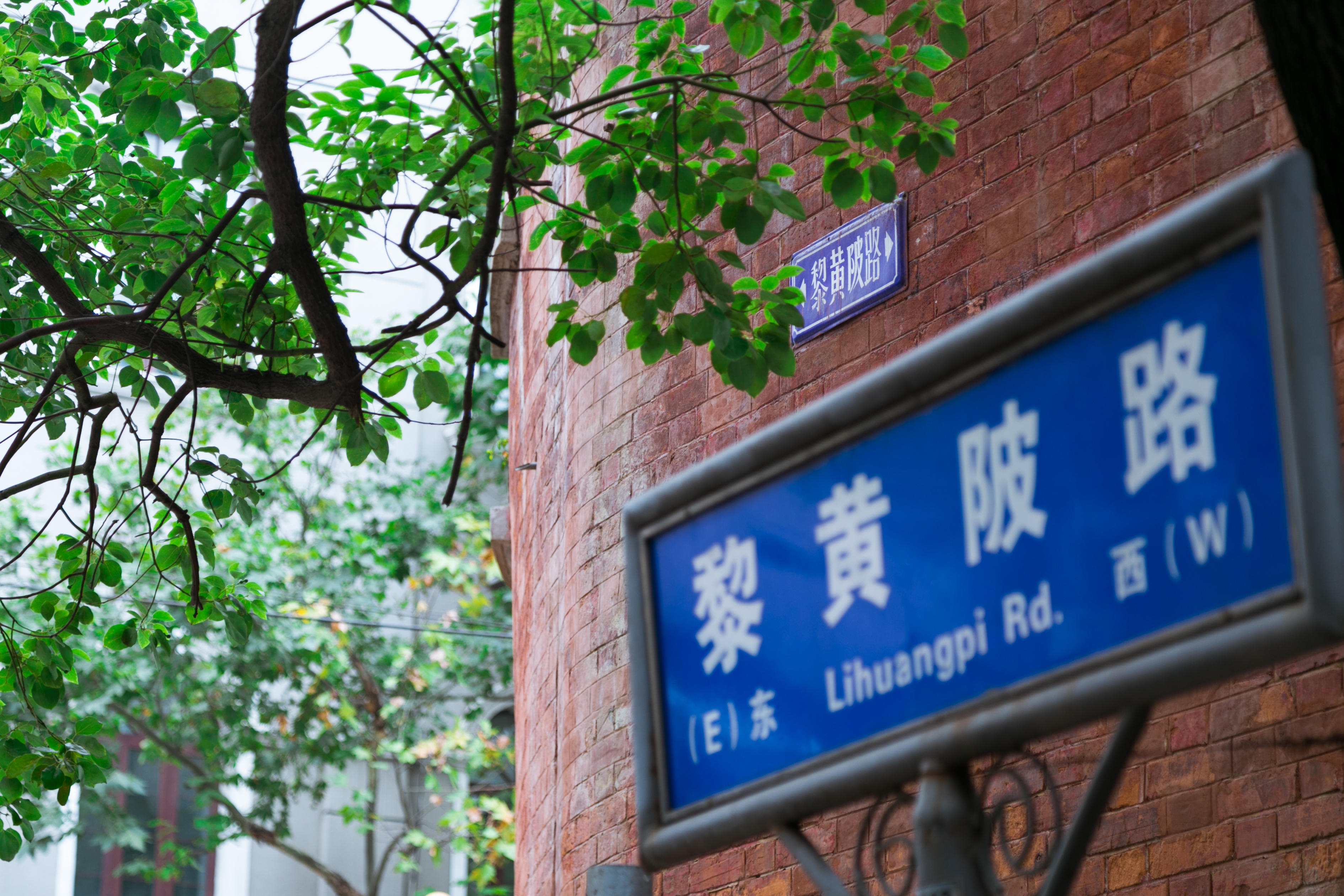 武汉最小资的街道"黎黄陂路",你逛过了吗?