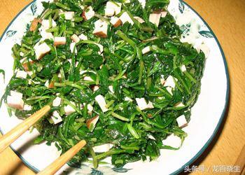 农村的哪种野菜不用炒,就可以直接吃?