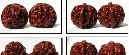 韩国人说:我们的核桃,价值一个亿!