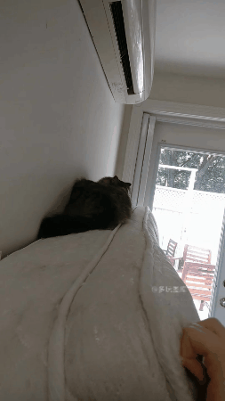 搞笑gif:熊孩子第一次被抓进监牢,看到老犯人,以后不敢皮了