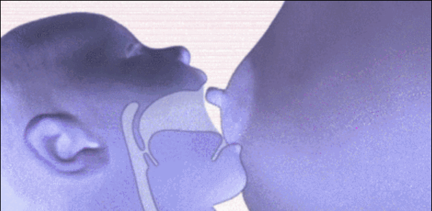 全部gif动态图片,爆笑gif动态图大全 搞笑gif图片集