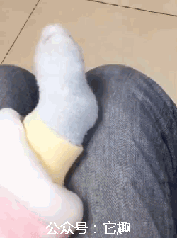 搞笑gif图:我在佛祖面许下宏愿,此生一餐只吃一口!