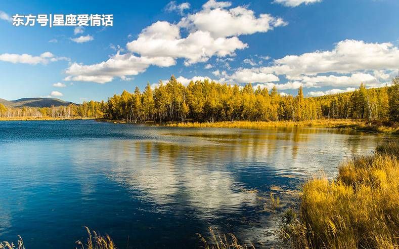 属兔好运风景图片