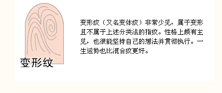 手上的指纹弓状纹,蹄状纹,涡状纹等全面分析,看看自己