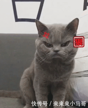 要想生活过得去头上总得顶点绿!