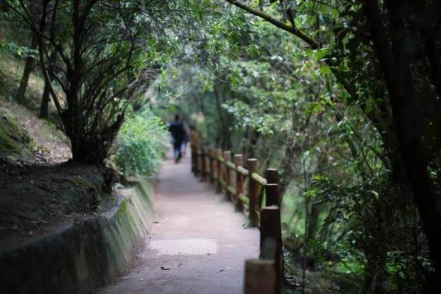 南山19条步道将添加"黑科技",以后登山不仅健身还好耍