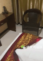 搞笑gif趣图 第一次见这样洗头的,你俩是认真的吗