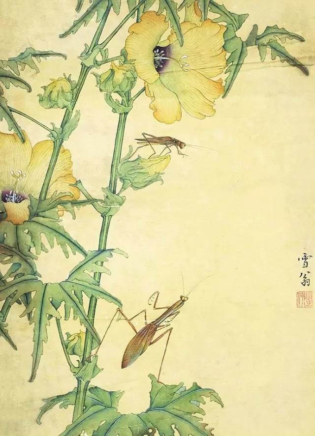 陈之佛工笔花鸟作品欣赏