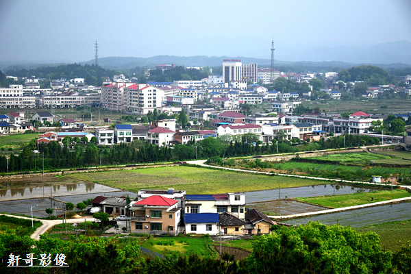 相约茶乡小镇 感受美丽田园 天涯大v走读湖南金井行 图集