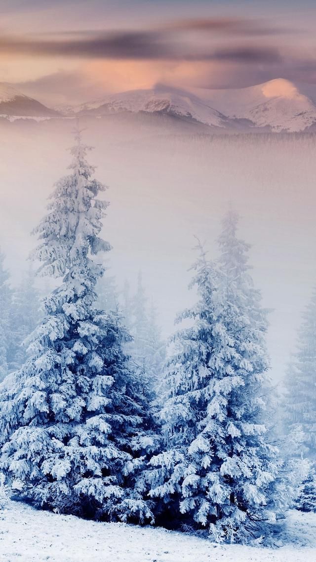 纯福利:雪,唯美诗句 高清壁纸!100对!与君共赏!