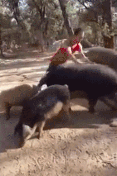 搞笑gif:尿尿也要偷看吗?这下好了,好喝吗?