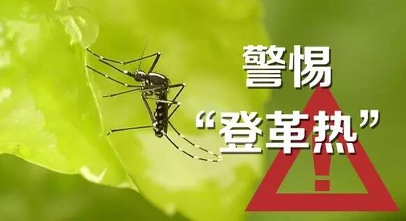 东莞发现1例输入性登革热病例 有"三痛""三红"要警惕!