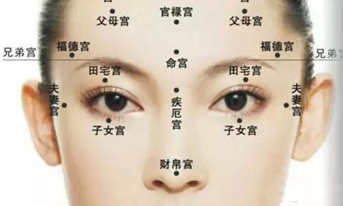 面相看五官口诀21条,面相看财运口诀18条,看手相口诀11条