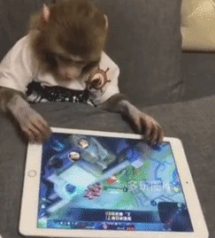 雪积得厚的国家就是玩得这么奔放,南方人表示嫉妒 全球搞笑gif:小姐姐