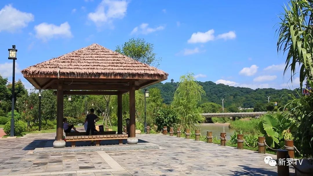 《我是龙岩人》今日推荐——东山湿地公园