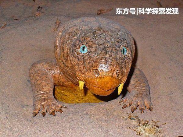 泥盆纪10大最恐怖的生物, 第一地球史上最凶猛