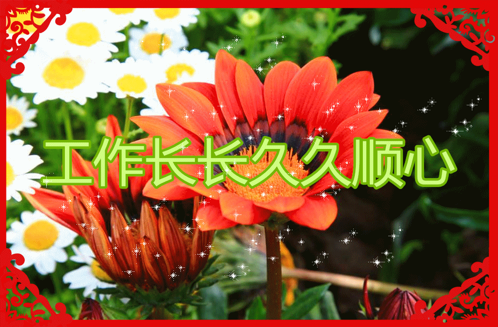 今天好运日 大吉大利的好运祝福,祝好运连连,鸿运当头