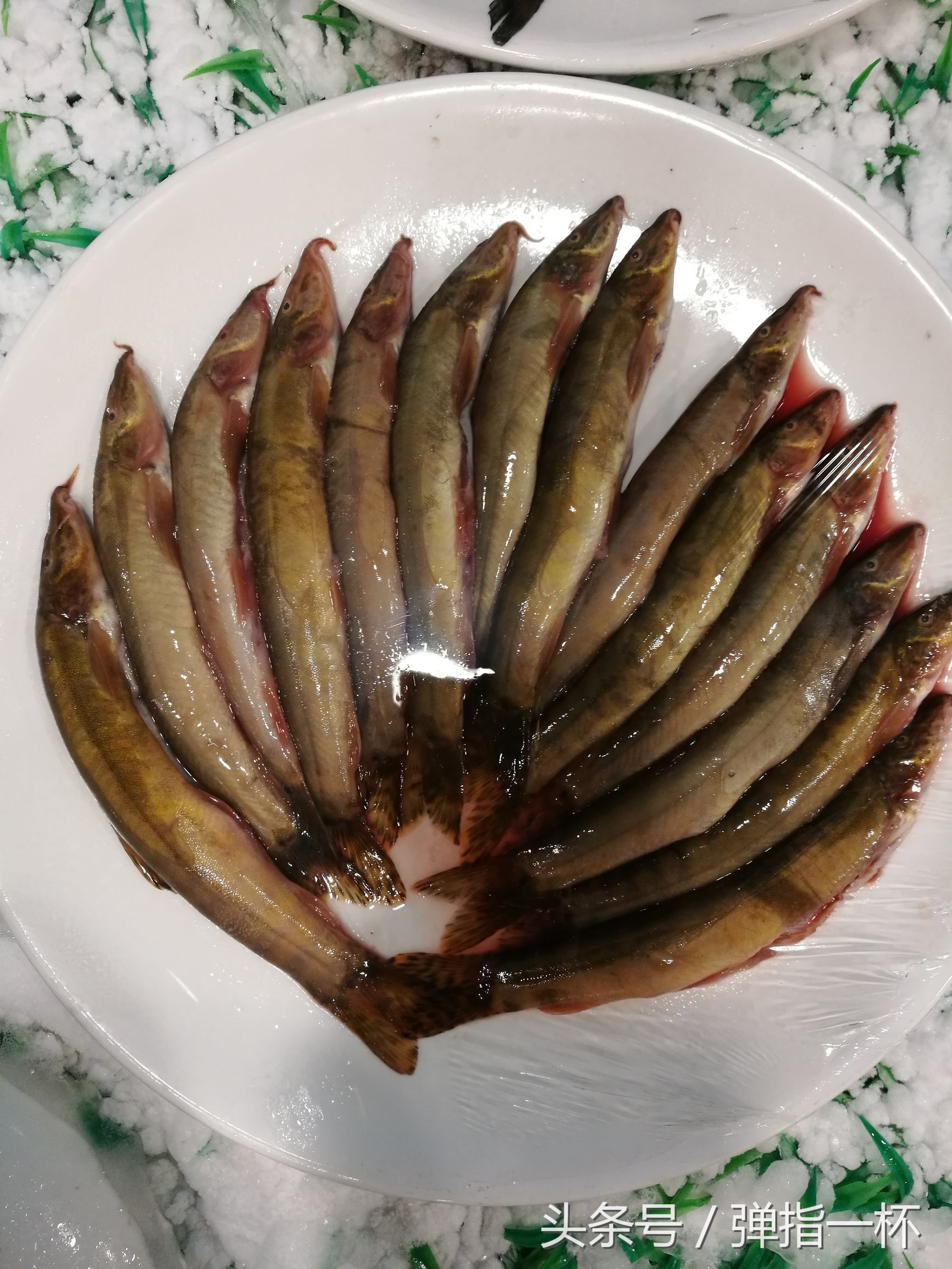 东北黑龙江边小镇鱼馆里"三花五罗十八子",吃过5种以上是牛人